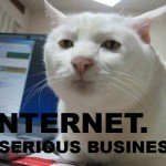 internet serious business cat