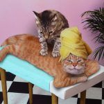 gato massagista