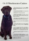 Os 10 mandamentos caninos