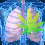 O que a maconha faz com os seus pulmoes