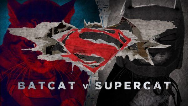 Batgato vs Super Gato