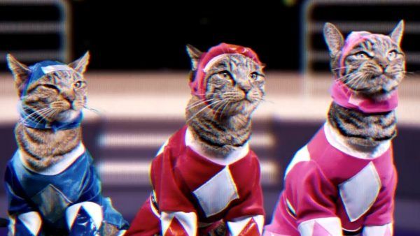 Power Rangers estrelado por gatinhos