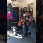 O cachorro que ama cantar junto com o seu dono