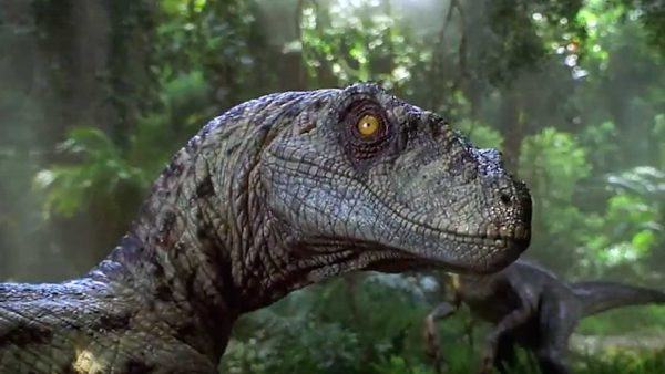 Camera amadora detecta a presenca de dinossauros na floresta