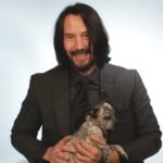 Keanu Reeves responde perguntas enquanto e atacado por puppies 2