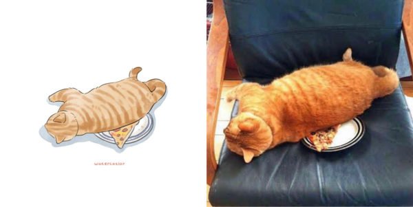 Memes de gatos artista ilustra situações felinas inusitadas e divertidas