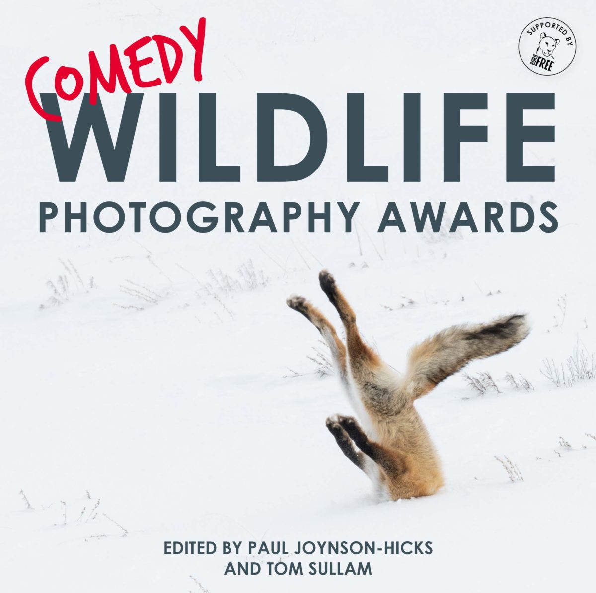 Prêmio de Fotografia da Vida Selvagem de 2019 fotografias mais engraçadas