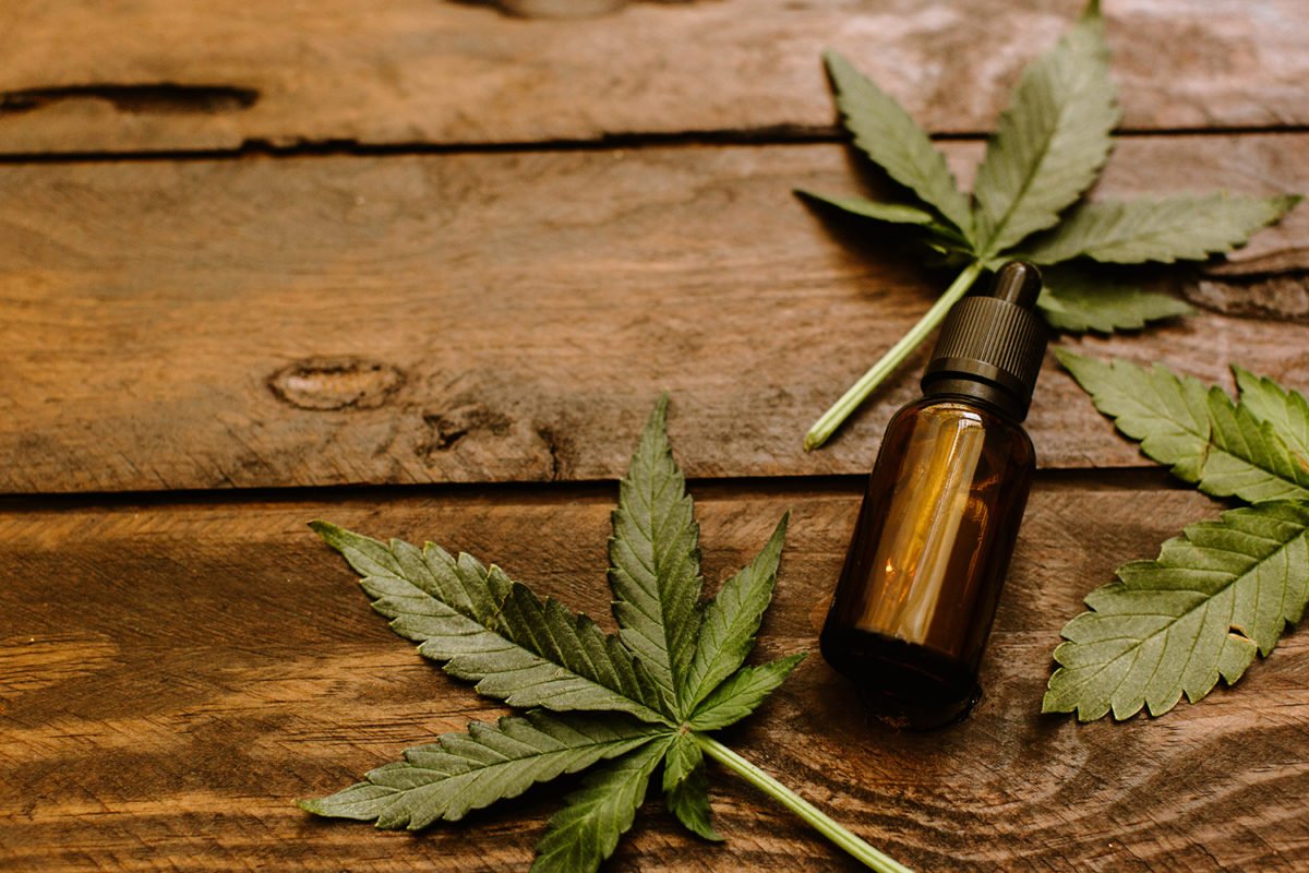 Maconha medicinal Anvisa autoriza venda de remédios à base de Cannabis 3
