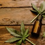 Maconha medicinal Anvisa autoriza venda de remédios à base de Cannabis 3