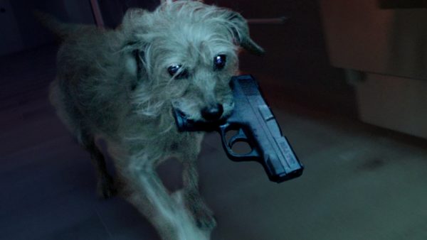 Dog Wick chegou a hora da vingança sanguinária do cachorro de John Wick