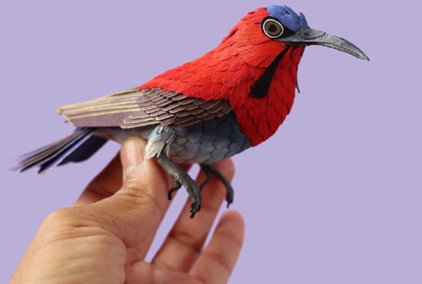 Diana Beltrán Herrera artista colombiana usa papel para recriar espécies de aves em todo o mundo 50