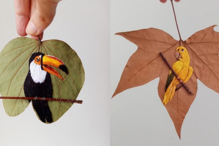 Laura Dalla Vecchia artesa borda aves brasileiras em folhas secas e une preservacao a arte 2