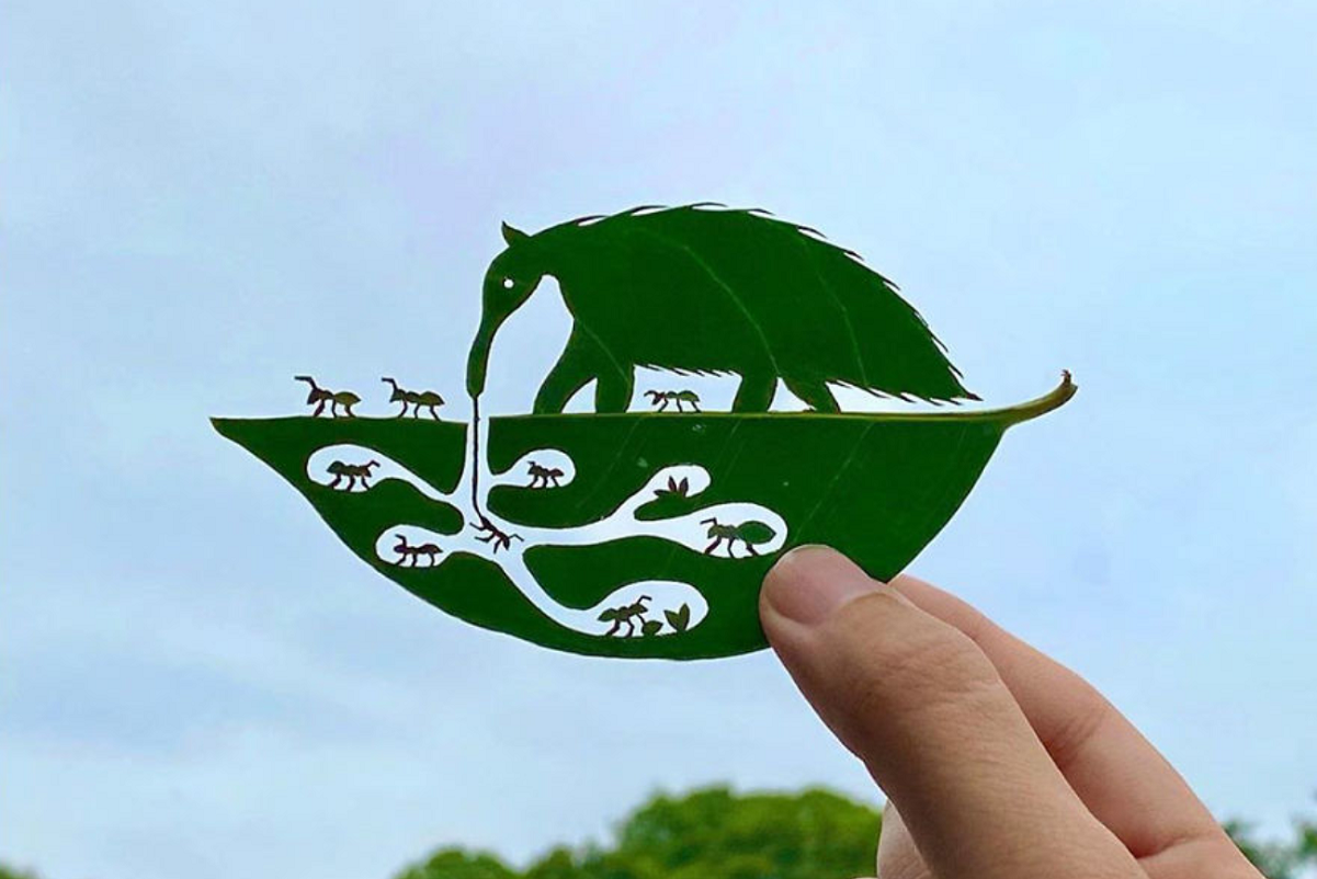 Lito Leaf art artista japones cria arte com folhas de arvores 1