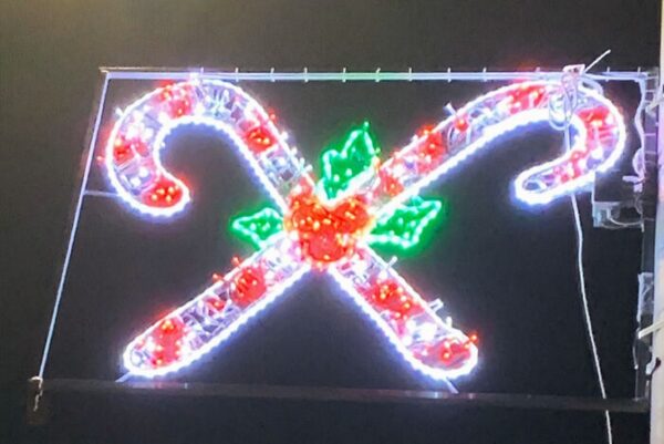 Na Escocia as criancas projetam suas luzes de Natal e resultado e adoravel 50