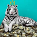 Critica O Tigre Branco Netflix