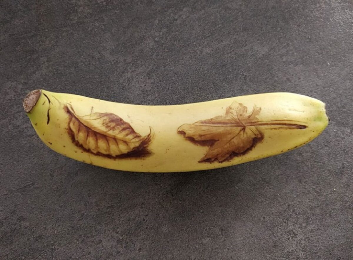 A arte na banana de Anna Chojnicka 25