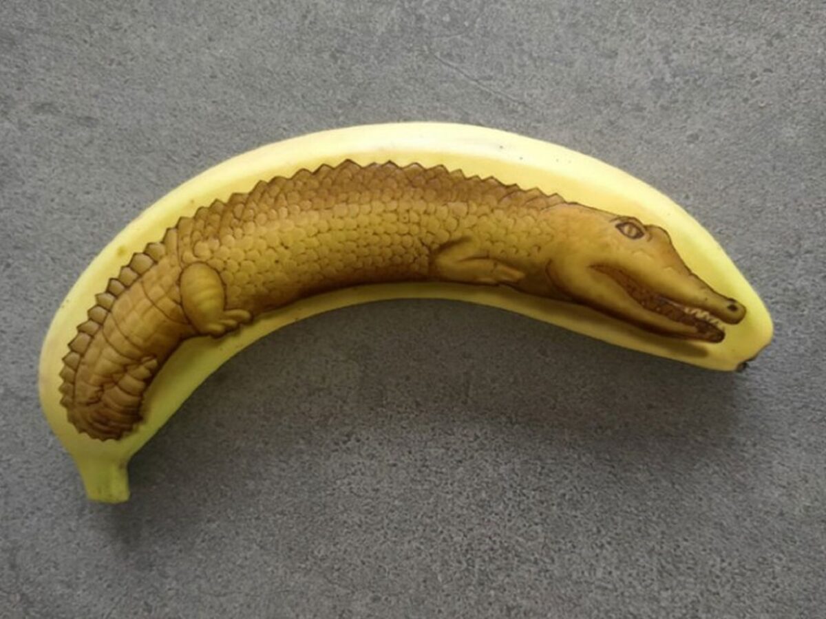A arte na banana de Anna Chojnicka 4