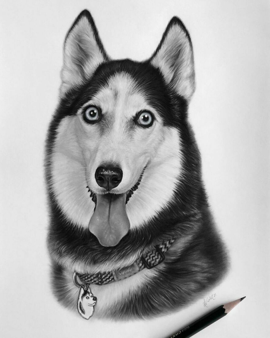 Helen Violet: artista canadense cria retratos realistas de animais de estimação a lápis