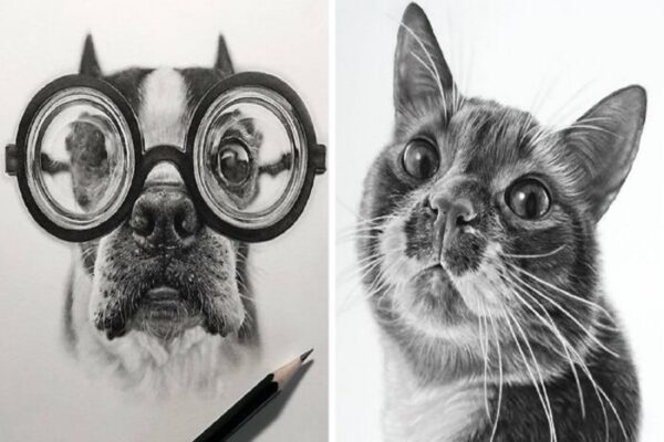 Helen Violet artista canadense cria retratos de animais de estimacao a lapis 50