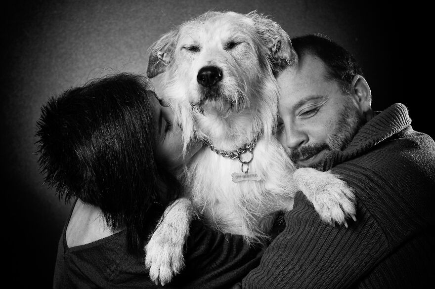 The Embrace: projeto mostra o quão única é a relação entre cão e ser humano