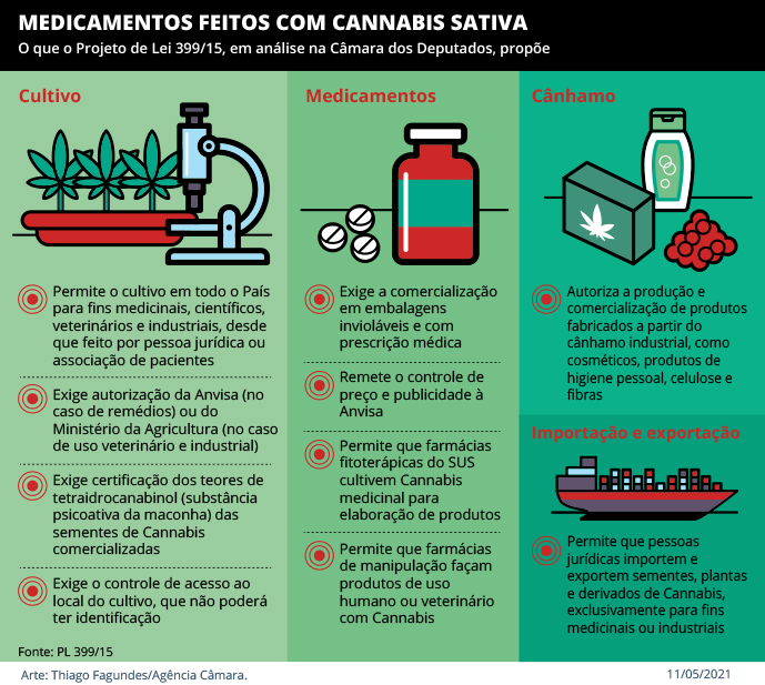Camara dos Deputados aprova projeto que libera cultivo de cannabis medicinal 1