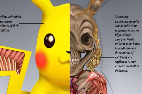 PokeNatomy projeto mostra como seria a anatomia dos personagens de Pokemon 1