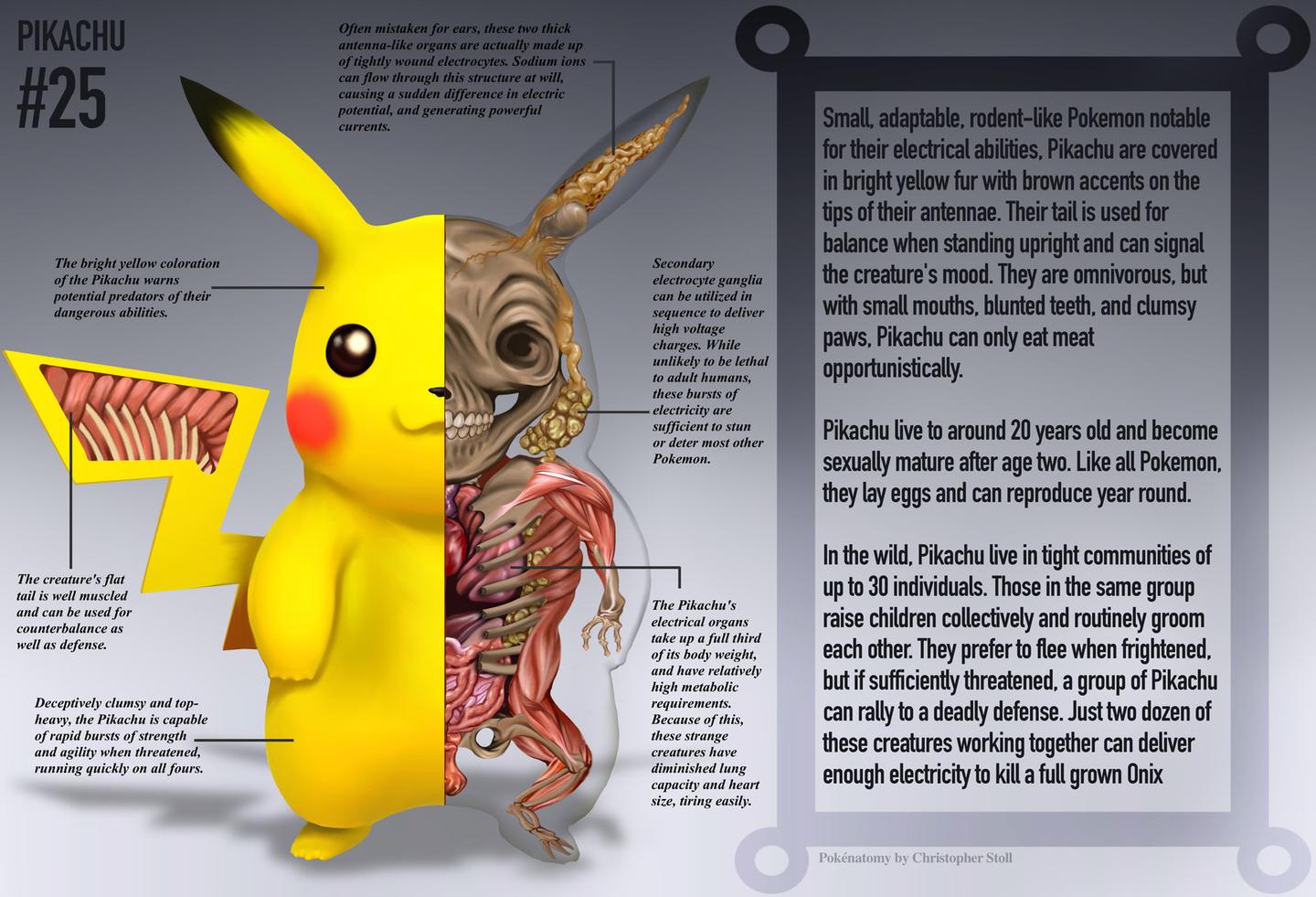 PokeNatomy projeto mostra como seria a anatomia dos personagens de Pokemon 2