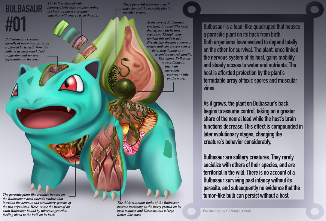 PokeNatomy projeto mostra como seria a anatomia dos personagens de Pokemon 3