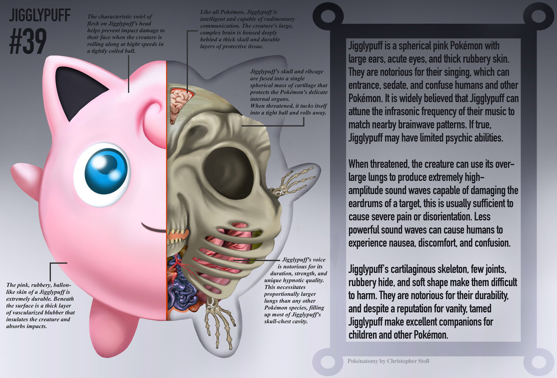 PokeNatomy projeto mostra como seria a anatomia dos personagens de Pokemon 6