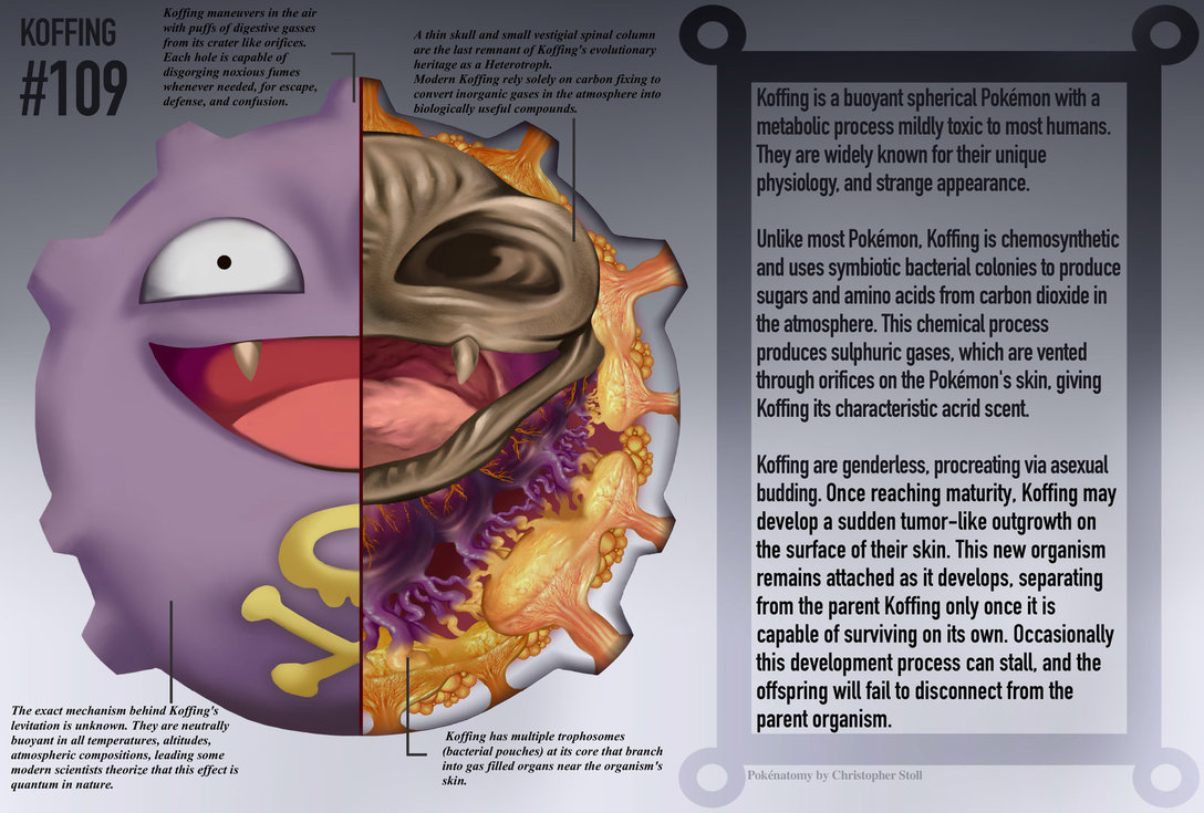 PokeNatomy projeto mostra como seria a anatomia dos personagens de Pokemon 7