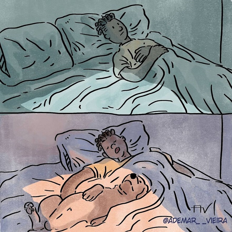 Ademar Vieira ilustrador brasileiros cria quadrinhos com antes e depois de adotar um pet 12