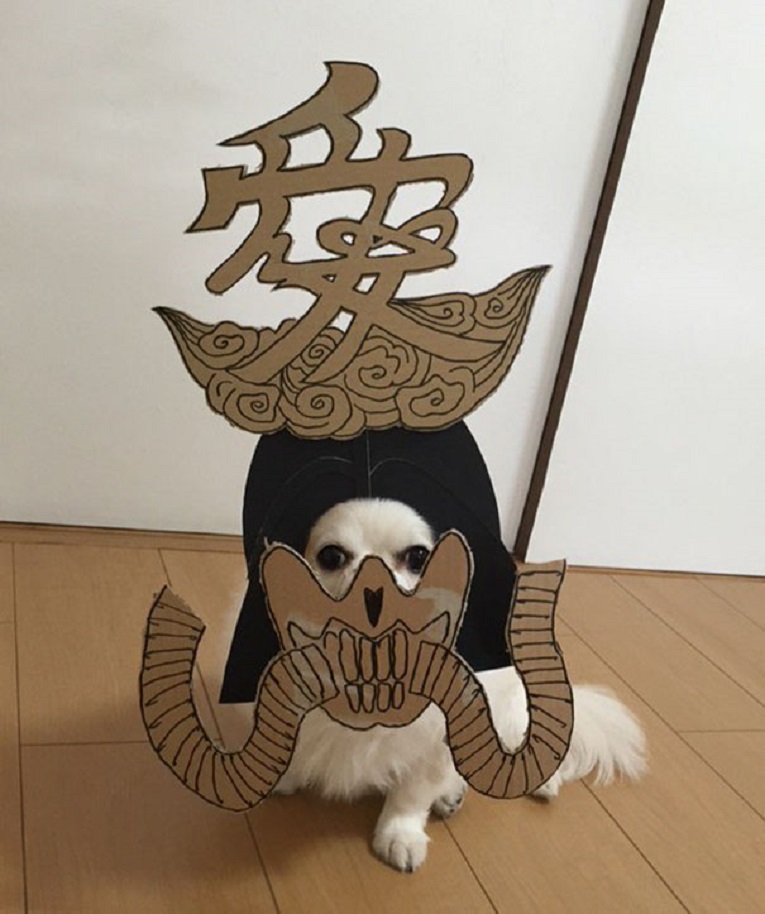 Mametaro perfil do Instagram posta fantasias de papelao de Halloween para cachorros 10