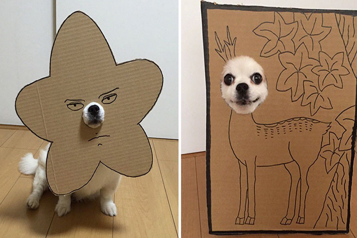 Mametaro perfil do Instagram posta fantasias de papelao de Halloween para cachorros CAPA