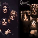 Todo Dia Gatinhos projeto insere gatos em capas de Classicos do Rock CAPA