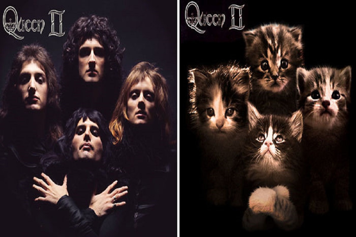 Todo Dia Gatinhos projeto insere gatos em capas de Classicos do Rock CAPA