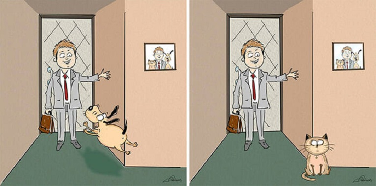 Bird Born artista cria ilustracoes de gatos vs cachorros 2