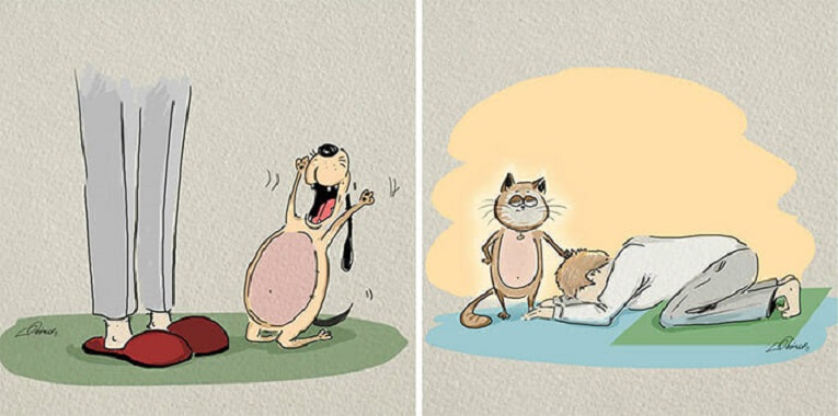 Bird Born artista cria ilustracoes de gatos vs cachorros 6