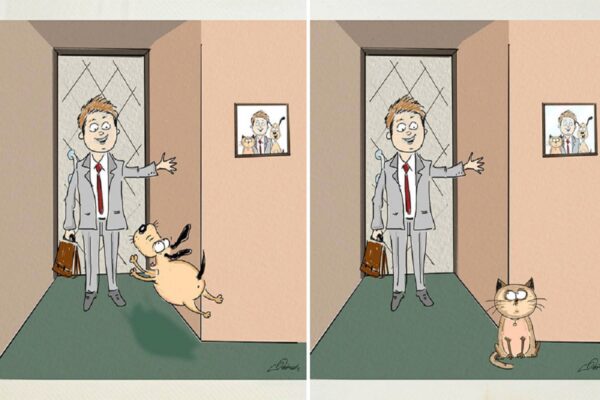 Bird Born artista cria ilustracoes de gatos vs cachorros CAPA