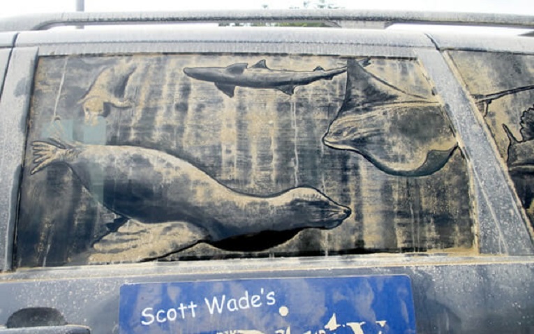 Scott Wade da Vinci do Po cria desenhos em carros empoeirados 5