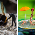 Mini mundos com objetos do cotidiano por Tiny Wasteland CAPA