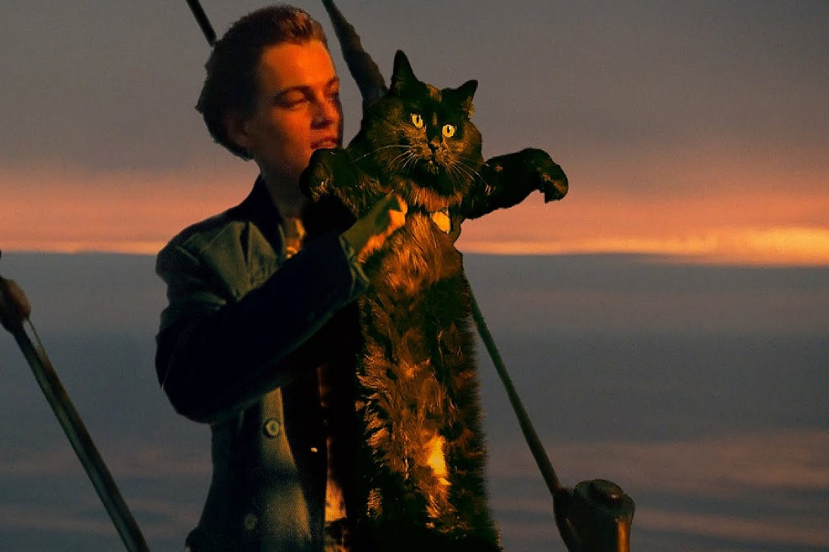 Kate Winslet substituida por um gato em Titanic