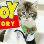 Versao de Toy Story com gatinhos fofos