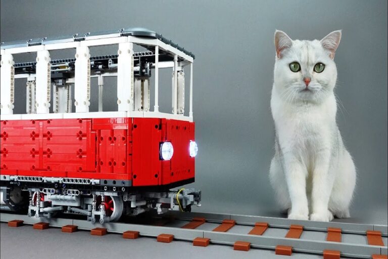 Um trem de LEGO para gatos