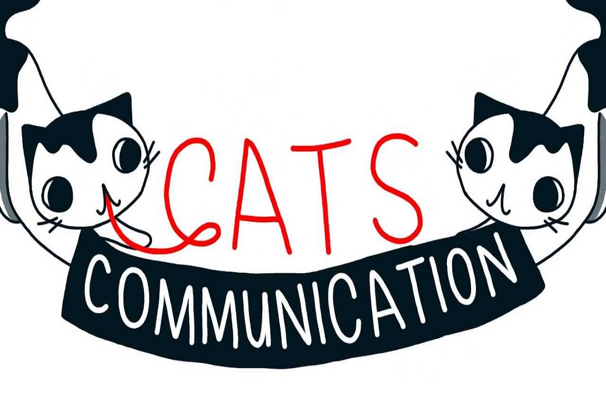 Animação ilustra como os gatos comunicam seus sentimentos por meio da linguagem corporal